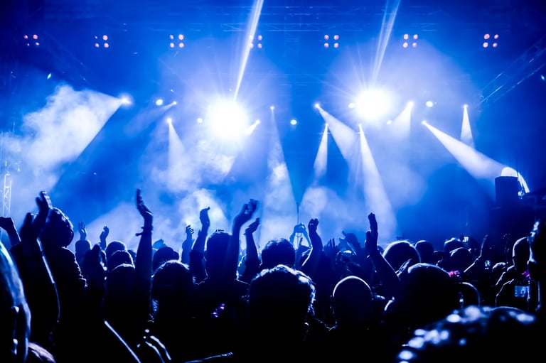 Crowd With Arms Raised During Concert