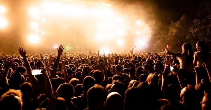 Concert crowd with raised hands