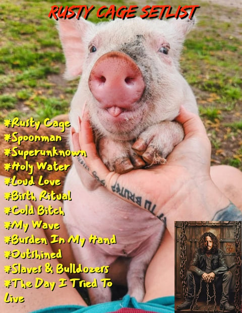 A pink piglet held in someones hands with Rusty Cage setlist overlay text and album artwork in corner